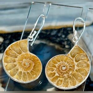 “Guidance Stone” Ammonite Earrings 1 1/2”